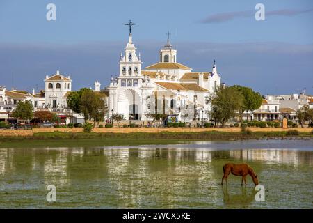 Espagne, Andalousie, El Rocío, cheval dans les marais en face de la place principale d'El Rocío où se dresse l'ermitage Nuestra Señora del Rocío Banque D'Images