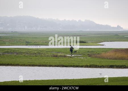 France, somme (80), Baie de somme, Boismont, à la sortie de la marée, un chasseur et son chien partent à la chasse en cabane Banque D'Images