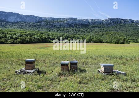 France, Var, Parc naturel régional de la Sainte Baume, Provence verte, massif de la Sainte Baume, Hostellerie de la Sainte Baume, ruche Banque D'Images