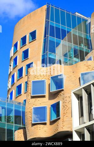 Australie, Nouvelle-Galles du Sud, Sydney, University of Technology Sydney (UTS), Dr Chau Chak Wing Building (2014) conçu par l'architecte Frank Gehry Banque D'Images