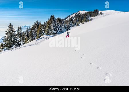 France, Auvergne-Rhône-Alpes, Savoie (département 73), Hauteluce, station de sports d'hiver les saisies, randonnée en raquettes Banque D'Images