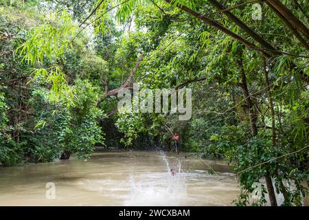 Cambodge, Kampong Phluk, les enfants plongent dans la rivière gonflée Banque D'Images