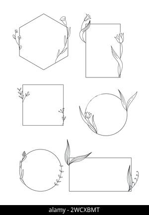 Ensemble de modèles élégants avec des éléments botaniques dessinés à la main. Différents cadres de forme géométrique avec des fleurs. Illustration vectorielle Illustration de Vecteur