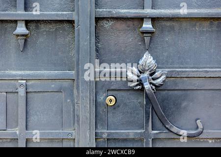 France, Meurthe et Moselle, Nancy, détail de la poignée de la porte extérieure avec ferronnerie en fer forgé réalisée par Louis Majorelle de l'hôtel particulier dit Maison Jacques (Maison Jacques) construit dans le style Art Nouveau par l'architecte Paul Charbonnier de l'Ecole de Nancy (École de Nancy) entre 1905 et 1907 par le Docteur Paul Jacques, spécialiste des oreilles, du nez et de la gorge, enseignant à la Faculté de médecine de Nancy, aujourd'hui immeuble d'appartements situé à l'angle de l'avenue Foch et de la rue Jeanne d'Arc Banque D'Images