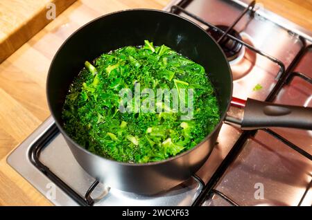 Home Cooking - Curly Kale dans une casserole d'eau bouillante sur la plaque de cuisson de cuisine à gaz Banque D'Images