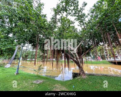 Cambodge, Siem Reap, parc local Banque D'Images