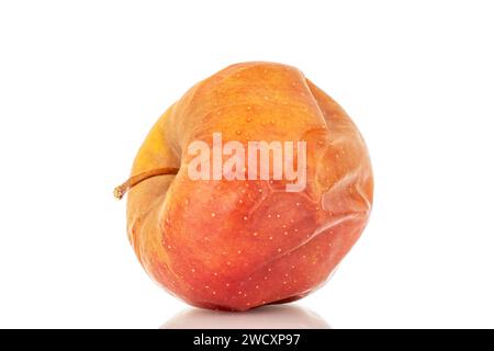 Une pomme pourrie, macro, isolée sur fond blanc. Banque D'Images