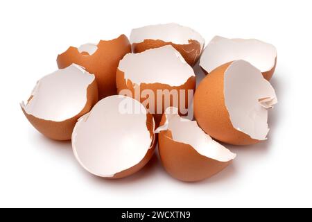 Tas de coquilles d'oeufs vides brunes se ferment isolé sur fond blanc Banque D'Images