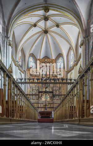 Maître-autel, chapelle royale, tombeau d'Alphonse X le Sage. Retable néo-gothique, image de Santa María de Gracia dans son dressing, cathédrale de Murcie. Banque D'Images