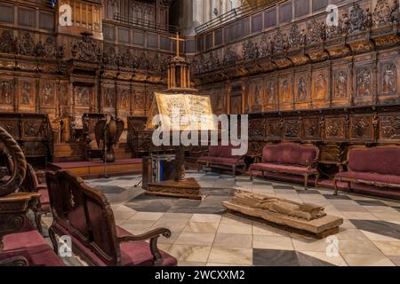 Stalles de chœur réalisées par Rafael de León en bois de noyer et l'orgue merklin Schütze dans la cathédrale de Santa Maria dans la ville de Murcie, Espagne, Europe. Banque D'Images