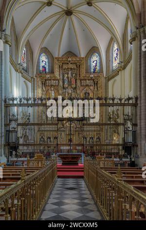 Maître-autel, chapelle royale, tombeau d'Alphonse X le Sage. Retable néo-gothique, image de Santa María de Gracia dans son dressing, cathédrale de Murcie. Banque D'Images