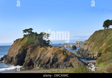 Battle Rock, monument historique sur la côte de l'Oregon, est à l'avant-garde de la photo. Le port de Port Orford possède le seul quai de dolly de la côte ouest du Pacifique Banque D'Images