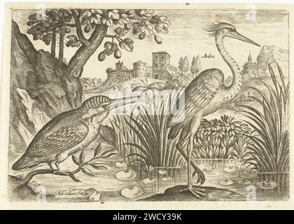 Deux oiseaux dans un paysage, Adriaen Collaert, 1598 - 1602 imprimer Un martin-pêcheur et un héron bleu dans un étang. Une forteresse en arrière-plan. L'impression fait partie d'une série avec les oiseaux comme sujet. Anvers gravure sur papier oiseaux de rivage et échassiers : heron. autres oiseaux : kingfisher. paysage avec tour ou château (+ ville(-scape) avec figures, staffage). étang Banque D'Images