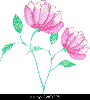 Vecteur de deux fleurs roses et jaunes de pivoine, stylo dessiné à la main et illustration au crayon de couleur Illustration de Vecteur