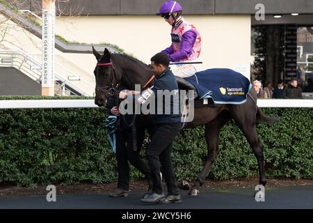 Ascot, Berkshire, Royaume-Uni. 22 décembre 2023. Horse future Fortune monté par le jockey James Bowen se dirige vers le circuit pour la Thames Materials Open National Hunt Flat Race aux courses Ascot lors du Howden Christmas Racing Weekend. Propriétaire déjeuner de Dames. Entraîneur Warren Greatrex, Upper Lambourn. Commanditaire 1WRLtd Crédit : Maureen McLean/Alamy Banque D'Images