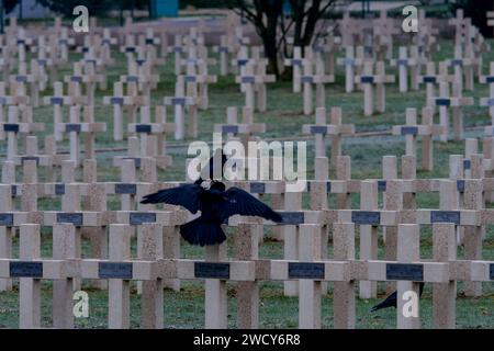 Nécropole militaire française, Faubourg-pavé, Verdun, Meuse, région Grand-est, France Banque D'Images