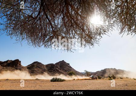 207 EKSTROM Mattias (swe), BERGKVIST Emil (swe), Team Audi Sport, Audi RS Q E-Tron E2, FIA Ultimate, Afia W2RC, ction lors de l'étape 10 du Dakar 2024 le 17 janvier 2024 autour d'Al Ula, Arabie Saoudite Banque D'Images