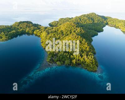 La lumière du soleil tôt illumine les mers calmes autour de l'île de Yangeffo à Raja Ampat, en Indonésie. Cette région est connue pour ses récifs coralliens exquis. Banque D'Images