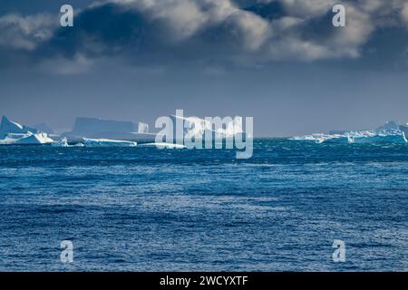 Icebergs de Cooper Bay et du fjord de Drygalski, île de Géorgie du Sud, nombreux en raison de la rupture de la plate-forme glaciaire de l'Antarctique, sculptée par les vagues au cours du voyage Banque D'Images