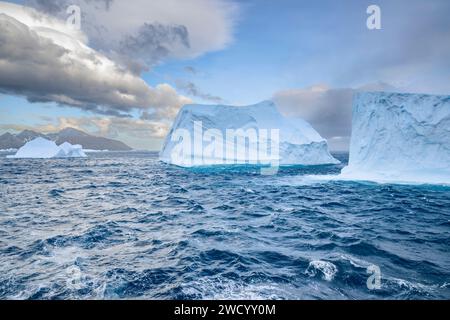 Icebergs de Cooper Bay et du fjord de Drygalski, île de Géorgie du Sud, nombreux en raison de la rupture de la plate-forme glaciaire de l'Antarctique, sculptée par les vagues au cours du voyage Banque D'Images