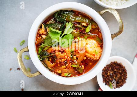 Marmite épicée de poisson du sichuan de style chinois servie avec du riz au jasmin Banque D'Images