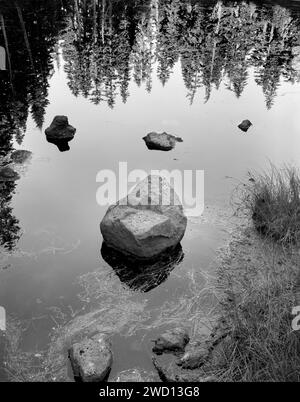 BW01130-00....WASHINGTON - roches et arbres reflétés sur un petit tarn dans la nature sauvage de Clearwater, forêt nationale du mont Baker-Snoqualmie. Banque D'Images