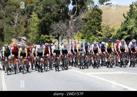 Adélaïde, Australie, 18/01/2024, Riders approchant de la ligne d'arrivée King of the Mountain sur l'étape 3 du Tour Down Under 2024 à Houghton dans les collines d'Adelaide en Australie du Sud Banque D'Images