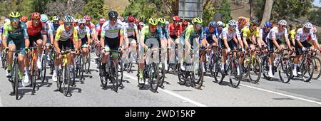 Coureurs approchant la ligne d'arrivée du King of the Mountain sur l'étape 3 du Tour Down Under 2024 à Houghton dans les collines d'Adelaide en Australie méridionale Banque D'Images