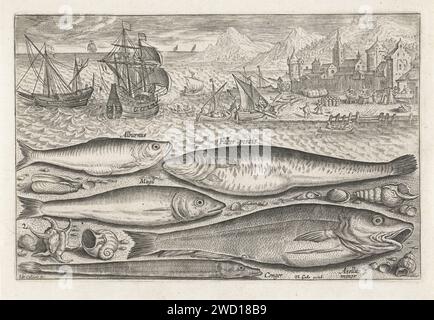 Cinq poissons sur la plage, Adriaen Collaert, 1627 - 1636 imprimer Un sprat, une carpe, un plus dur, une petite morue et une digue sont échoués sur la plage avec quelques coquillages. En arrière-plan la mer et un quai portuaire. L'impression fait partie d'une série avec le poisson comme sujet. Anvers gravure sur papier poissons osseux : Cod. anguilles : anguille. poissons osseux : mulet. jetée, quai, quai. poissons osseux : carpe. poissons osseux : sprat Banque D'Images