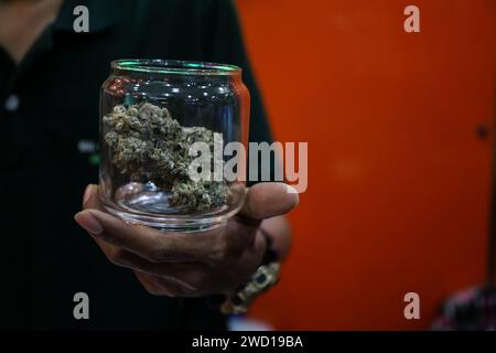 Bangkok, Thaïlande. 17 janvier 2024. Un vendeur tient un pot contenant du cannabis en vente dans un dispensaire de cannabis du district de Nana à Bangkok, Thaïlande, le 17 janvier 2024. Le nouveau gouvernement thaïlandais a présenté un projet de loi visant à modifier la législation actuelle sur le cannabis afin d’interdire l’usage récréatif du cannabis après que le pays ait décriminalisé le cannabis récréatif en 2022. (Image de crédit : © Valeria Mongelli/ZUMA Press Wire) USAGE ÉDITORIAL SEULEMENT! Non destiné à UN USAGE commercial ! Banque D'Images