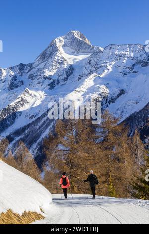 Lauchernalp, Suisse - janvier 19. 2022 : randonnée le long du sentier surélevé dans la vallée de Lötschental avec le majestueux sommet des Alpes Bietschhorn à la Banque D'Images