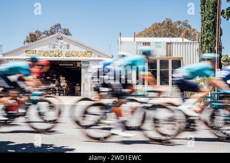 Adélaïde, Australie. 18 janvier 2024. Photo de Zac Williams/SWpix.com - 18/01/2024 - Cyclisme - 2024 Tour Down Under - étape 3 : Tea Tree Gully à Cambelltown (145.3km) - le peloton pendant l'étape 3. Crédit : SWpix/Alamy Live News Banque D'Images