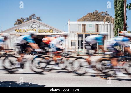 Adélaïde, Australie. 18 janvier 2024. Photo de Zac Williams/SWpix.com - 18/01/2024 - Cyclisme - 2024 Tour Down Under - étape 3 : Tea Tree Gully à Cambelltown (145.3km) - le peloton pendant l'étape 3. Crédit : SWpix/Alamy Live News Banque D'Images