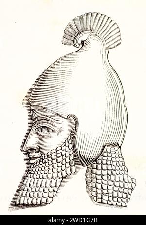 Portrait de profil gravé d’un homme grec barbu portant un casque, basé sur le bas-relief classique ; œuvre d’art anonyme tirée des mammifères de Brehm, 1878. Banque D'Images