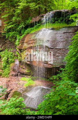 Buttermilk Falls State Park dans l'État de New York, États-Unis Banque D'Images