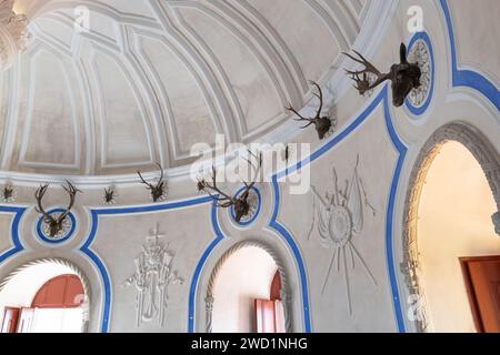 Bois de cerf sur un mur dans la salle de cerf dans le palais national de l'intérieur de Pena à Sintra, Portugal. Banque D'Images