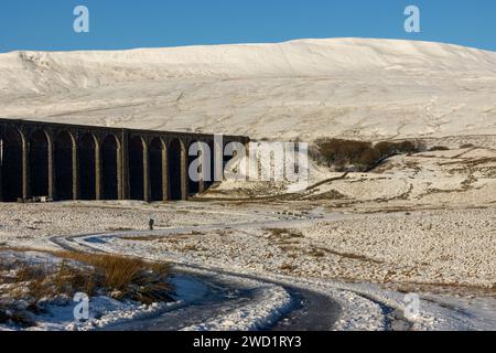 Un randonneur solitaire (homme) dans le parc national des Yorkshire Dales dans la neige un jour d'hiver, avec le Viaduc Ribblehead et Whernside en arrière-plan. Banque D'Images
