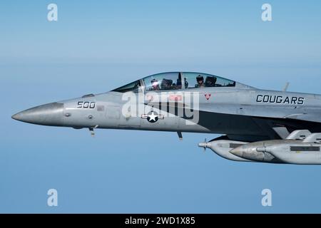 Un E/A-18G Growler de l'US Navy survole la zone de responsabilité du commandement central des États-Unis. Banque D'Images