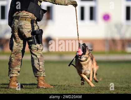 Exercices d'obéissance de l'armée américaine avec des chiens de travail militaires à Panzer Kaserne, Stuttgart, Allemagne. Banque D'Images