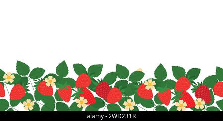 Bordure sans couture de vecteur de fraise. Baies rouges sucrées, fleurs blanches, feuilles isolées sur blanc. Fond horizontal de fruits de baie d'été. Dessiné à la main Illustration de Vecteur