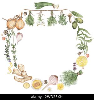 Illustration de couronne d'épices et d'herbes à l'aquarelle. Floral sain, épices dessinées à la main, racine de gingembre, oignon, ail, clipart de papier Banque D'Images