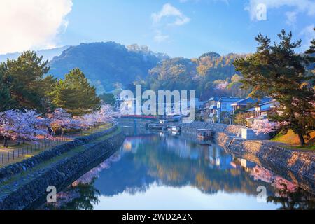 Kyoto, Japon - avril 1 2023 : Parc préfectoral Uji avec fleur de cerisier en pleine floraison est le symbole de la ville d'Uji avec de beaux paysages de la ville et pr Banque D'Images