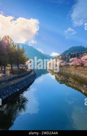 Kyoto, Japon - avril 1 2023 : Parc préfectoral Uji avec fleur de cerisier en pleine floraison est le symbole de la ville d'Uji avec de beaux paysages de la ville et pr Banque D'Images