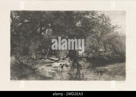 Arbres au bord de l'eau, Willem Steelink (I), d'après Johannes Warnardus Bilders, 1836 - 1902 print Paysage forestier avec de l'eau au premier plan. Amsterdam papier gravure forêt, bois. brook Banque D'Images