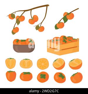 Ensemble de fruits de kaki. Pièce à moitié coupée et entière. Kaki dans la boîte et dans la plaque de bol. Branche d'arbre de kakis avec des feuilles mûres en automne et crues. Vecto Illustration de Vecteur