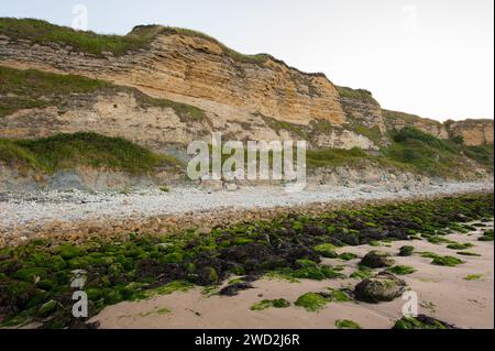 Falaises sur la plage d'Omaha près de Vierville-sur-Mer (Normandie, France) un matin d'été Banque D'Images