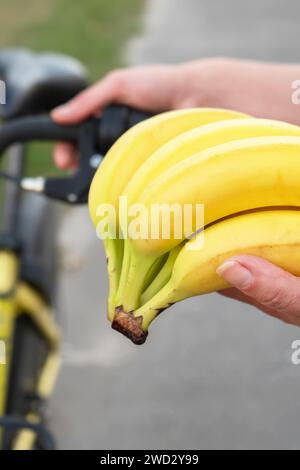 Une pile de bananes est tenue verticalement dans la main. Banque D'Images