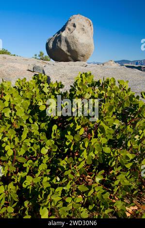 Rocher de granit sur Buena Vista Peak, parc national de Kings Canyon, Californie Banque D'Images