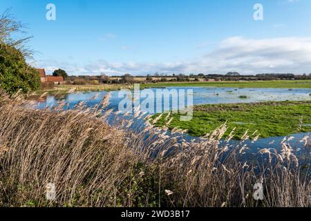 Paysage de Norfolk près de Burnham Overy. Champs inondés par un jour lumineux de janvier. Banque D'Images