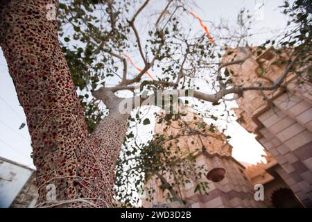 Temple de Koteshwar mahadev à lakhpat taluka, district de kutch au gujarat. Banque D'Images